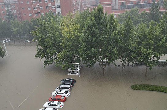 青山一道同風(fēng)雨 鄭州廣眾與您在一起