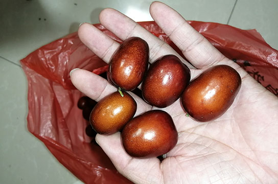 陜西ZBK380空壓機(jī)斷油保護(hù)裝置安裝 客戶盛情比棗甜